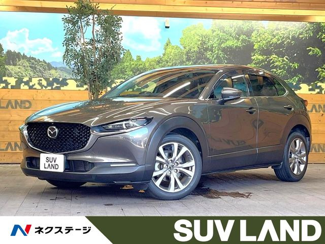 CX-302.0 20S プロアクティブ