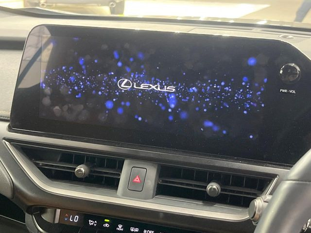 UX250h バージョンC