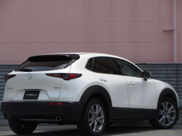 CX-301.8 XD プロアクティブ
