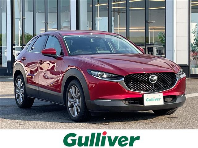 CX-301.8 XD Lパッケージ
