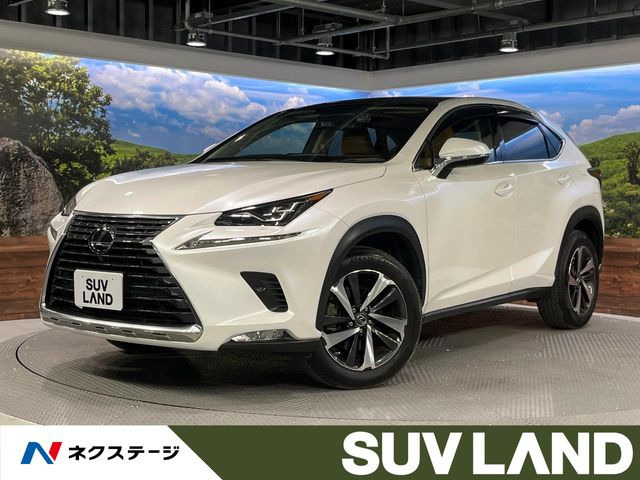 NX200t Iパッケージ