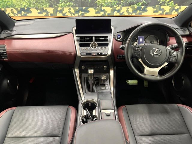NX300h スパイス&amp;シック