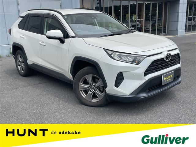RAV42.0 X