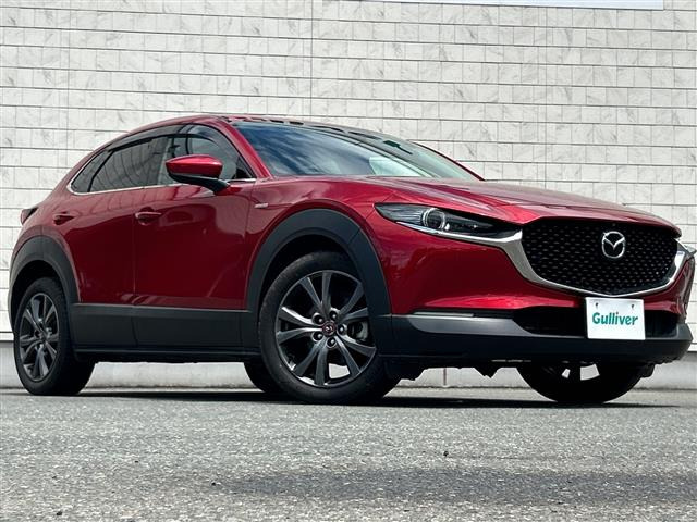 CX-301.8 XD 100周年特別記念車 4WD