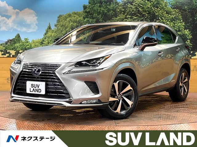 NX300h スパイス&シック