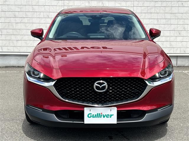 CX-301.8 XD 100周年特別記念車 4WD