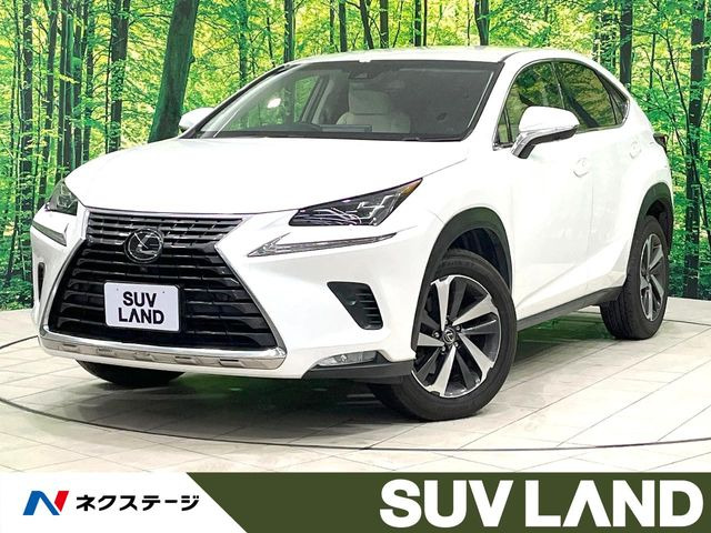 NX200t Iパッケージ