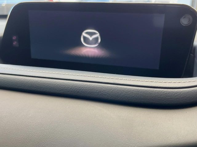 CX-302.0 20S プロアクティブ