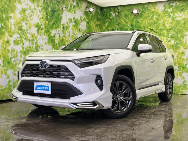 RAV42.5 ハイブリッド G E-Four 4WD