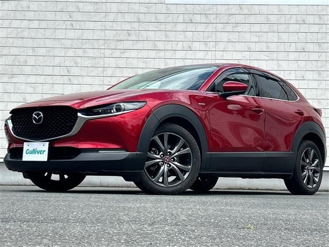 CX-301.8 XD 100周年特別記念車 4WD
