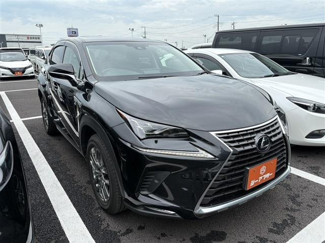NX300h バージョンL