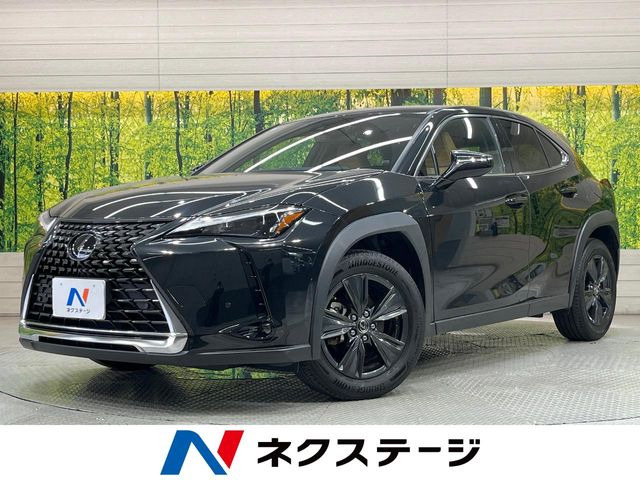 UX250h バージョンC