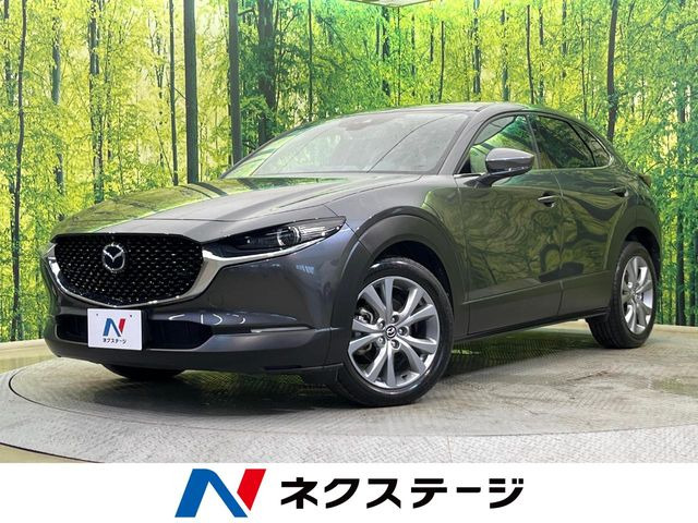 CX-302.0 20S プロアクティブ ツーリングセレクション