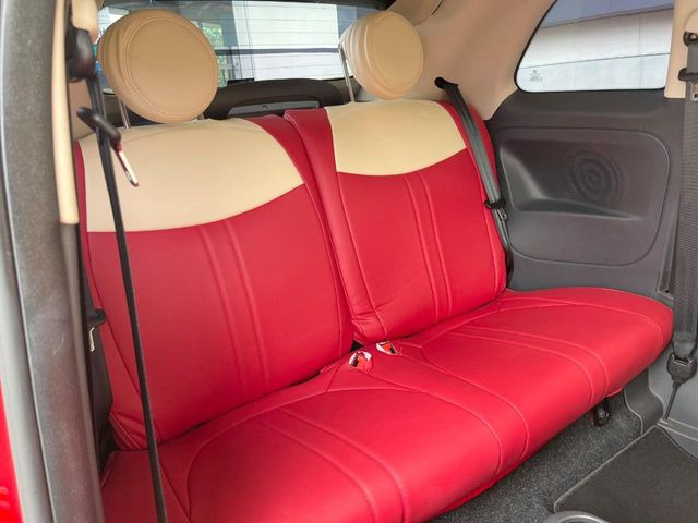 ���㕔���Ȃ��C�ɂȂ�悤�ȃL�Y�E�����ւ��蓙�A�傫�ȃ_���[�W�͂Ȃ��A�ǍD�ȏ�Ԃł��B