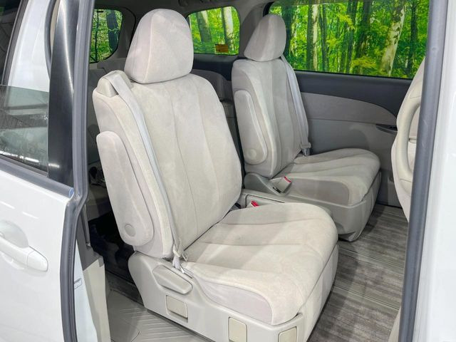 �㕔���Ȃ��C�ɂȂ�悤�ȃL�Y�E�����ւ��蓙�A�傫�ȃ_���[�W�͂Ȃ��A�ǍD�ȏ�Ԃł��B