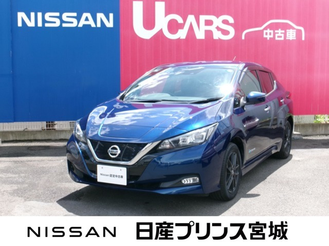 リーフX