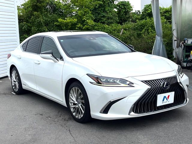 �������x�̃K���X�疌�ŝ����͂������A�㎿�ȃc���E����������B���O����_���J�����؂Ȉ��Ԃ�ی삵�A�F�����E�򉻂�h�~�B�u�e�X�v���b�V���R�[�g�v�A�u�e�v���~�b�T�R�[�g�v���炨�I�т��������܂��B