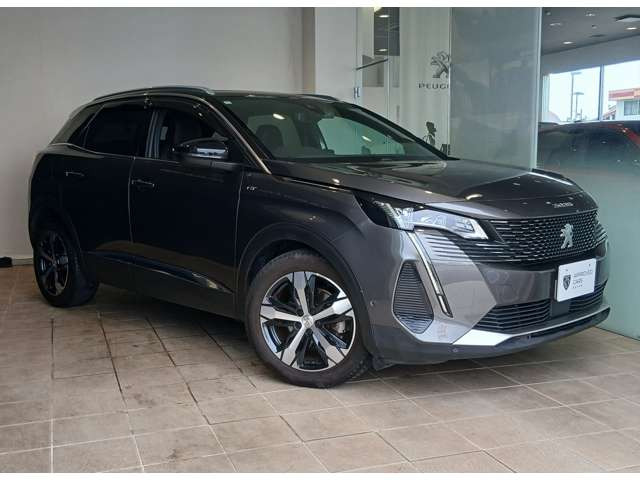 3008GT