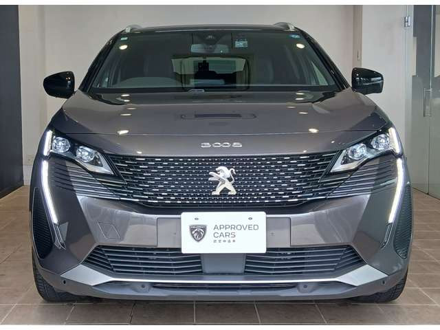 3008GT