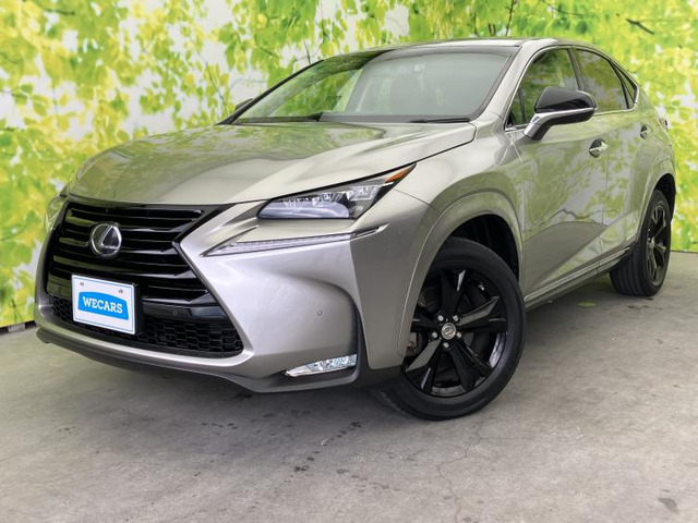 NX300h アーバンスタイル
