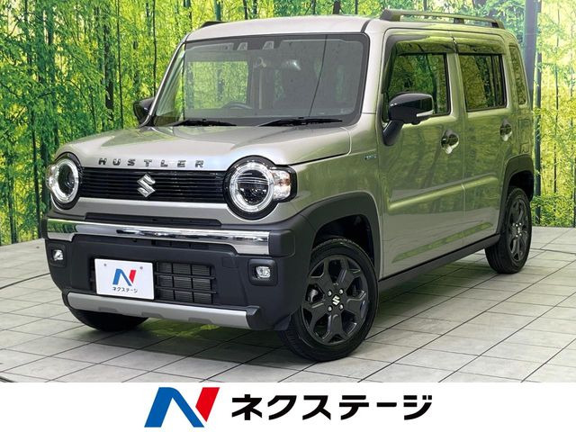 ハスラータフワイルド