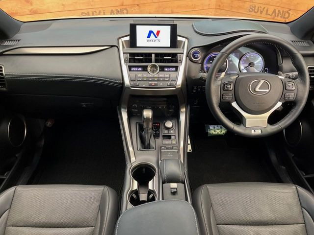 NX300h Fスポーツ
