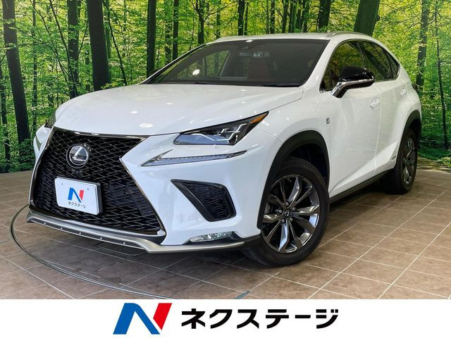 NX300h Fスポーツ
