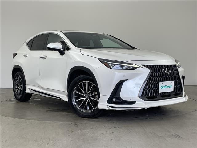NX250