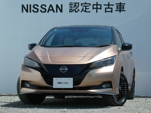 リーフe+ G