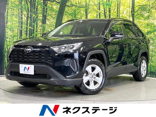 RAV42.0 X