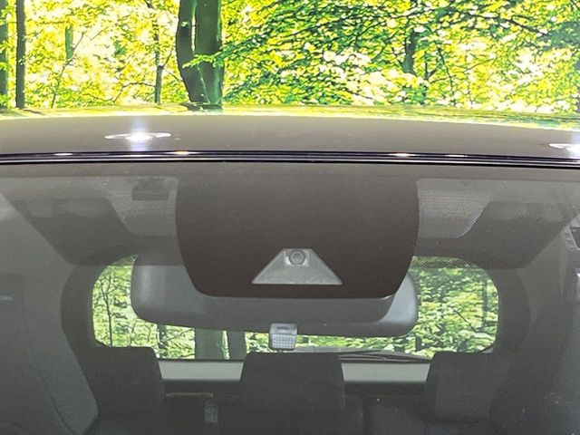 RAV42.0 X