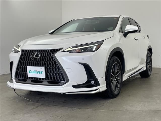 NX250