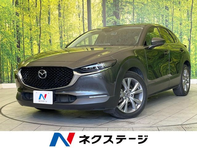 CX-302.0 20S プロアクティブ ツーリングセレクション