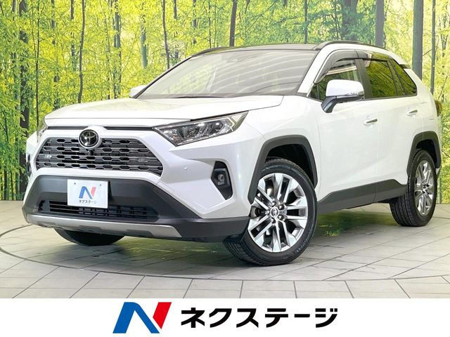 RAV42.0 G Zパッケージ 4WD