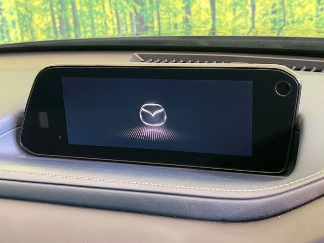 CX-302.0 20S プロアクティブ ツーリングセレクション