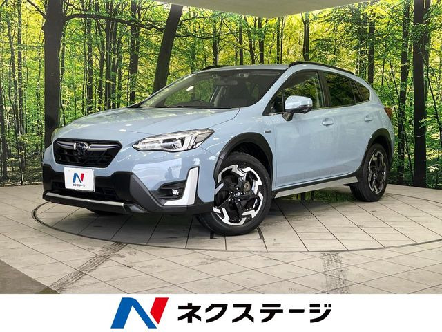 XV2.0 アドバンス 4WD