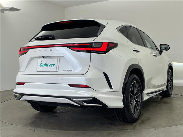 NX250