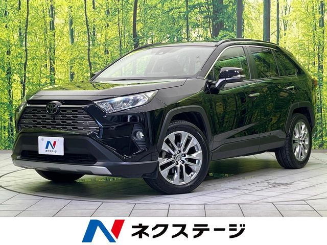 RAV42.0 G Zパッケージ 4WD