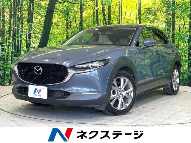 CX-302.0 20S プロアクティブ ツーリングセレクション