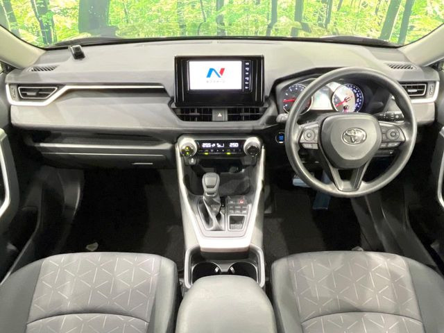 RAV42.0 X