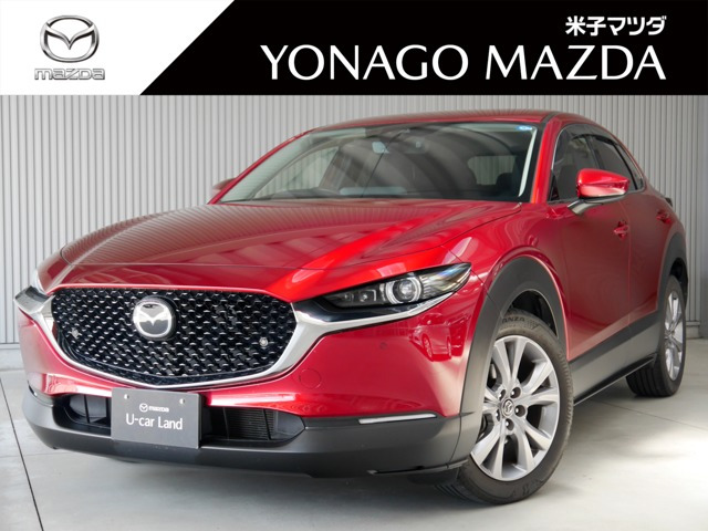 CX-302.0 20S プロアクティブ ツーリングセレクション 4WD