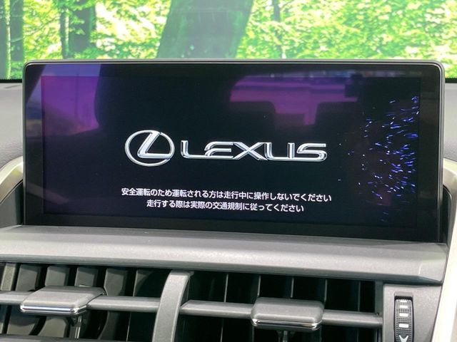 NX300h Fスポーツ