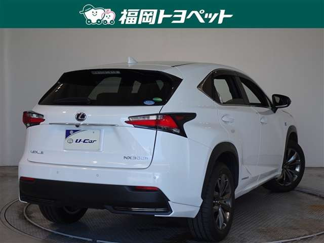 NX300h Fスポーツ