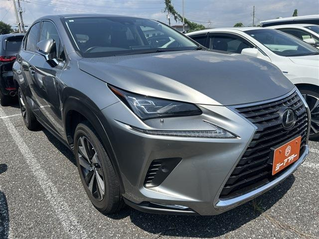 NX300 Iパッケージ