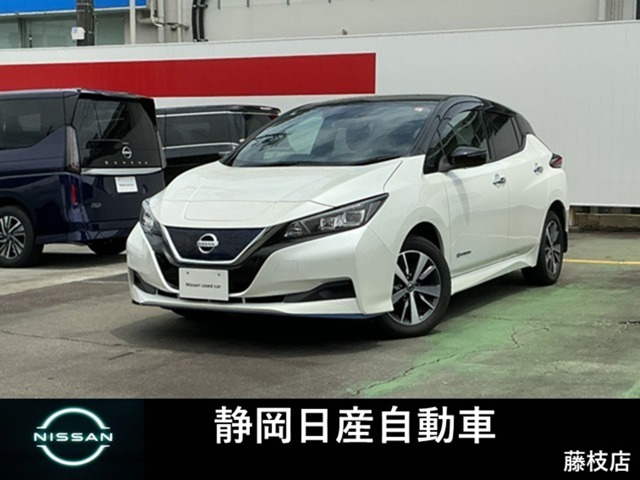 リーフe+ X