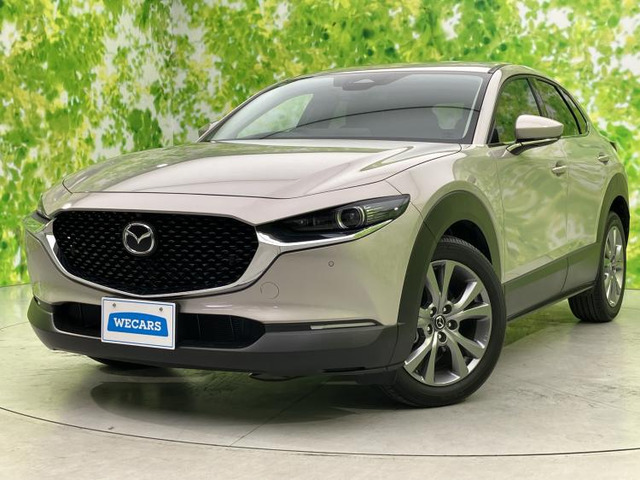CX-302.0 20S プロアクティブ ツーリングセレクション