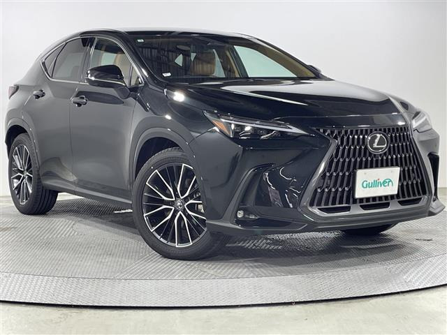 NX250 バージョンL