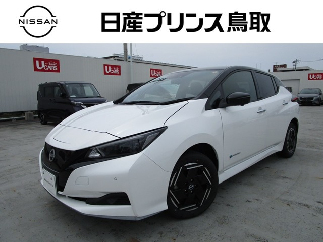 リーフe+ X