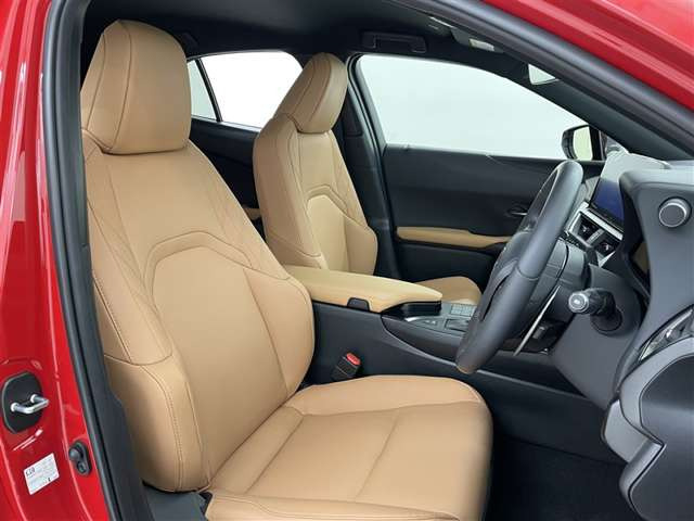 UX250h バージョンC