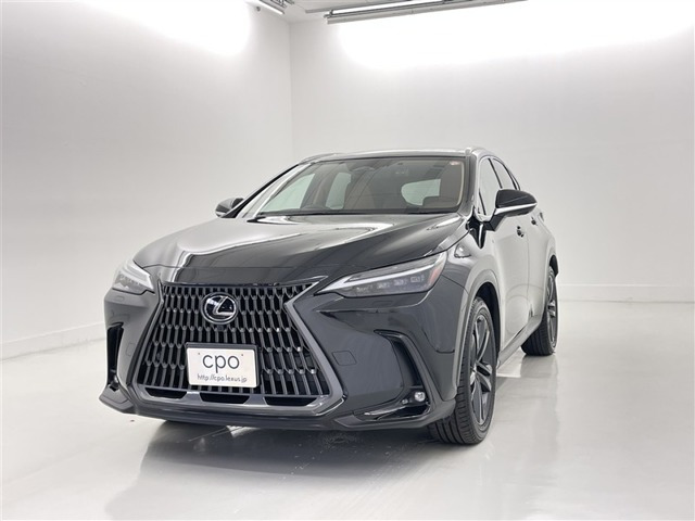 NX250 バージョンL